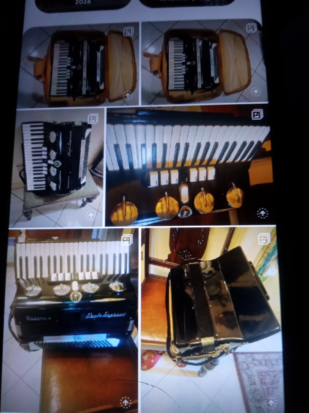 Vintage accordion