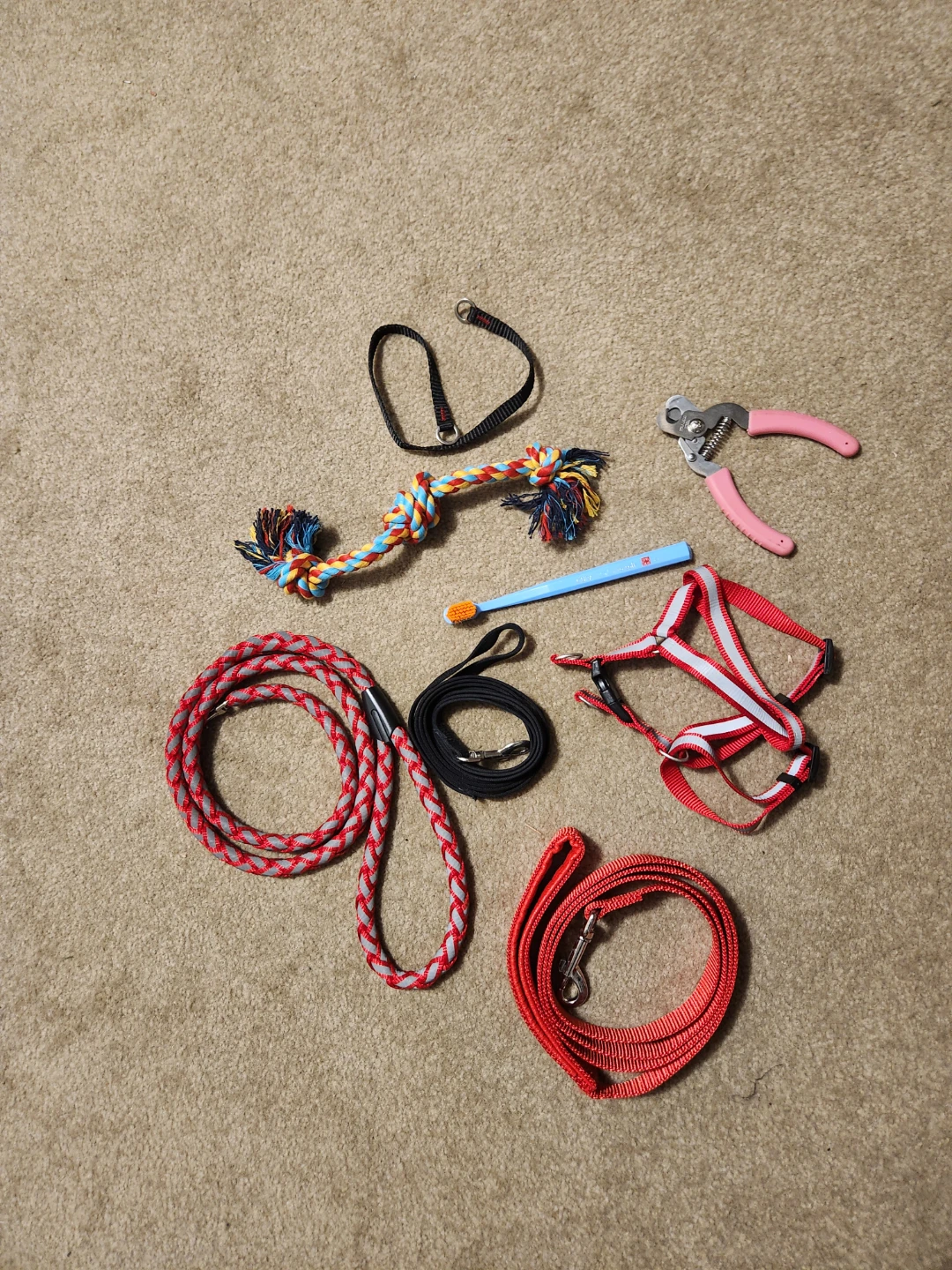 Small dog items
