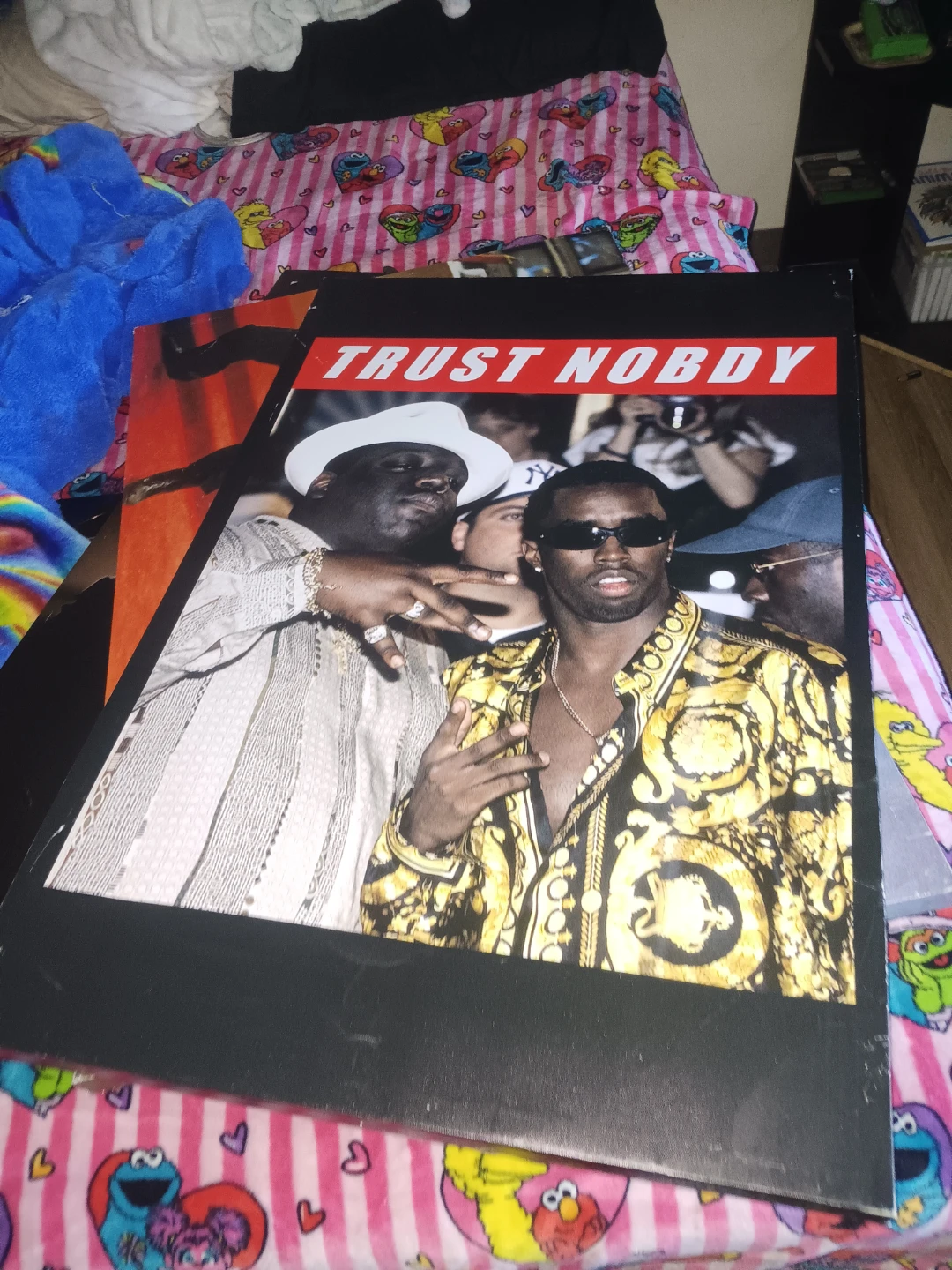 Trust Nobody Biggie & P. Diddy Poster