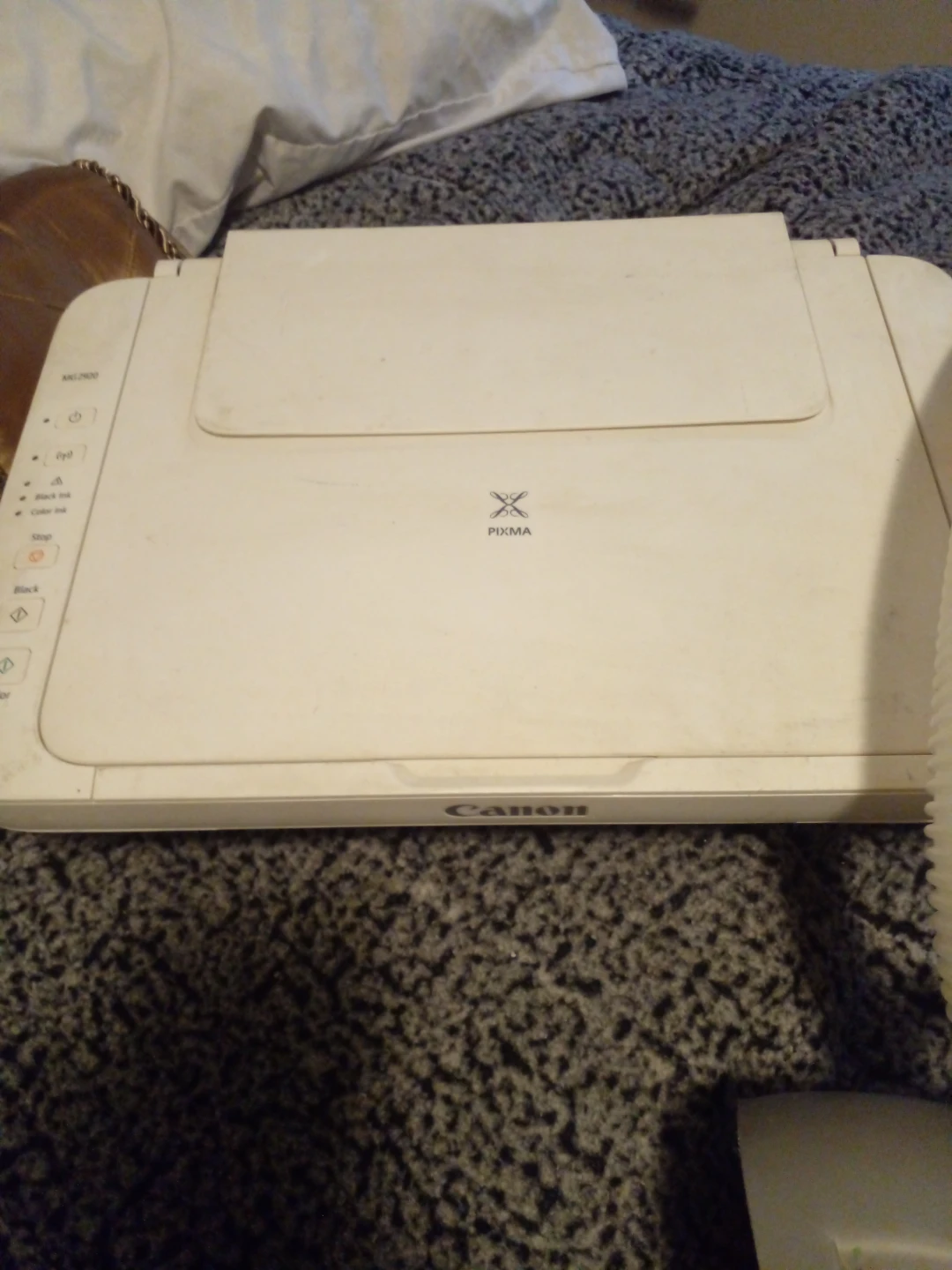 Canon PIXMA MG2920 Printer