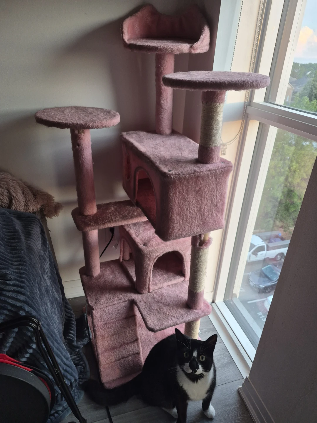 Pink Cat Tree Condo