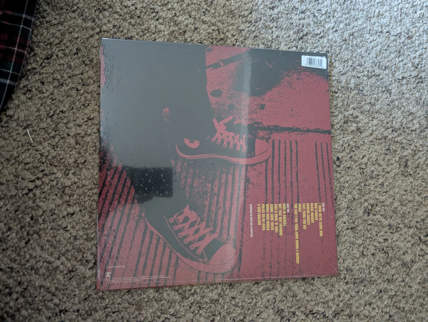 Billie Joe Armstrong vinyl - photo 3