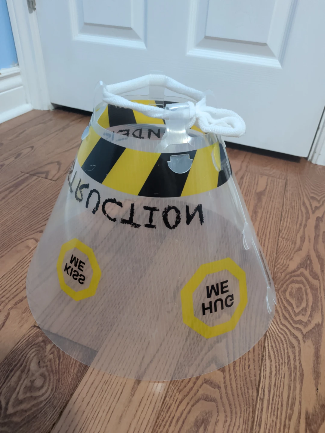 Pet Recovery Collar Cone