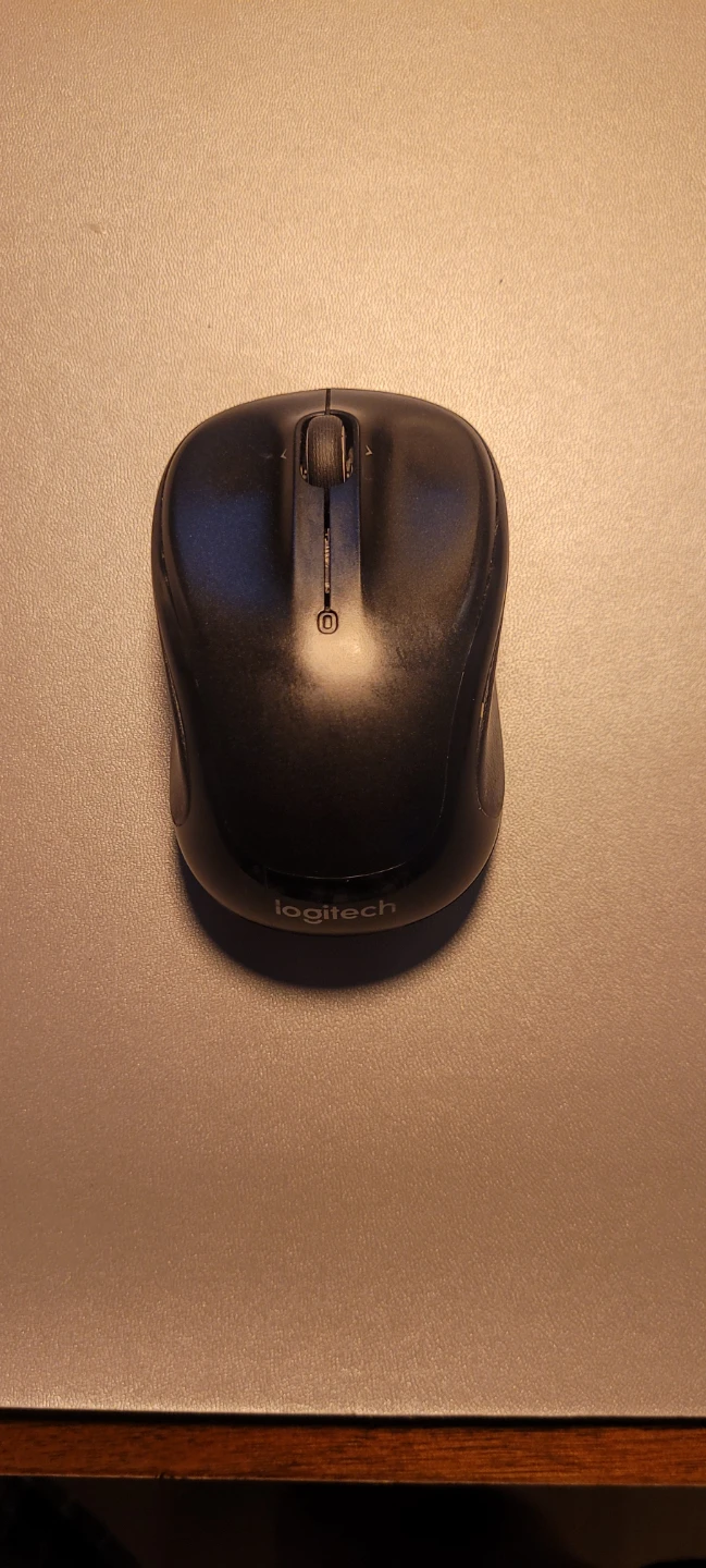 Logitech Mouse
