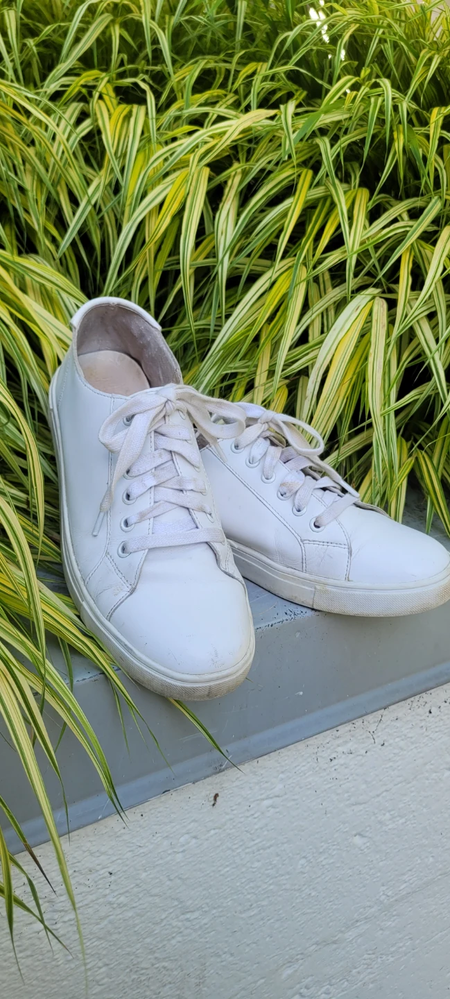 Size 8.5 womens/ 7 men's FRYE SNEAKERS