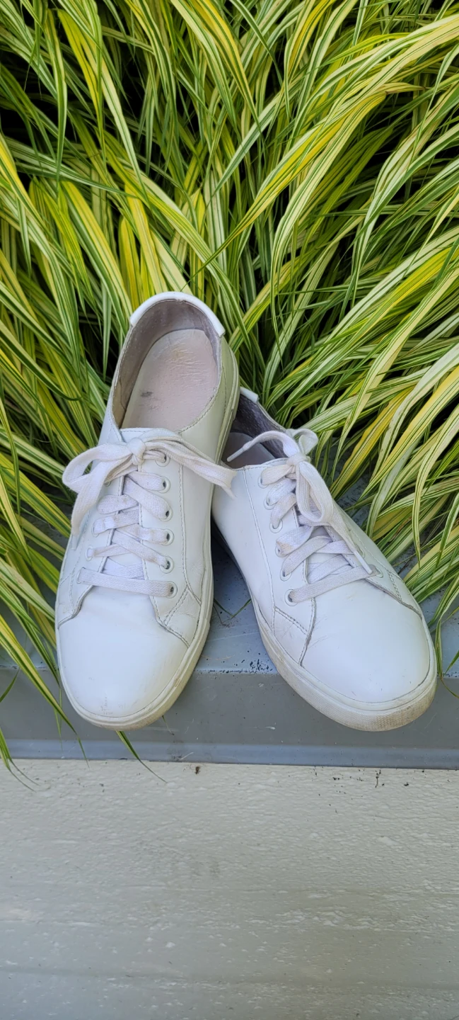 Size 8.5 womens/ 7 men's FRYE SNEAKERS - photo 2