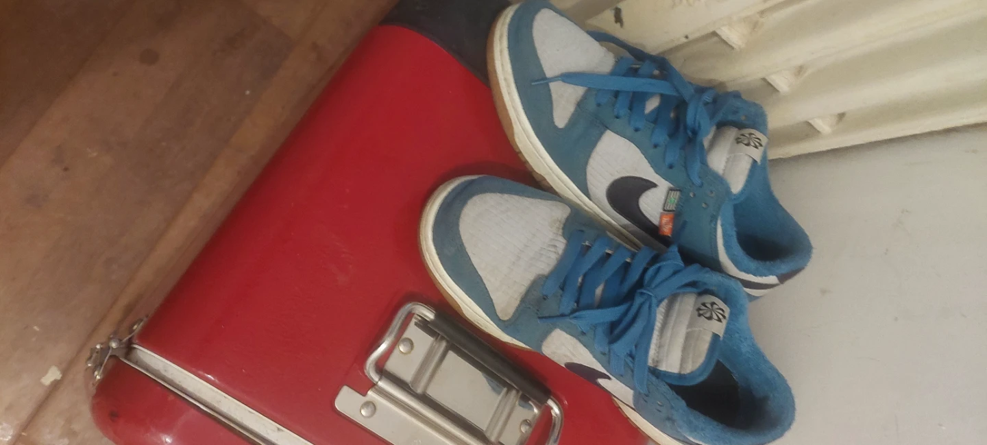 Nike Dunk Low Shoes - photo 4