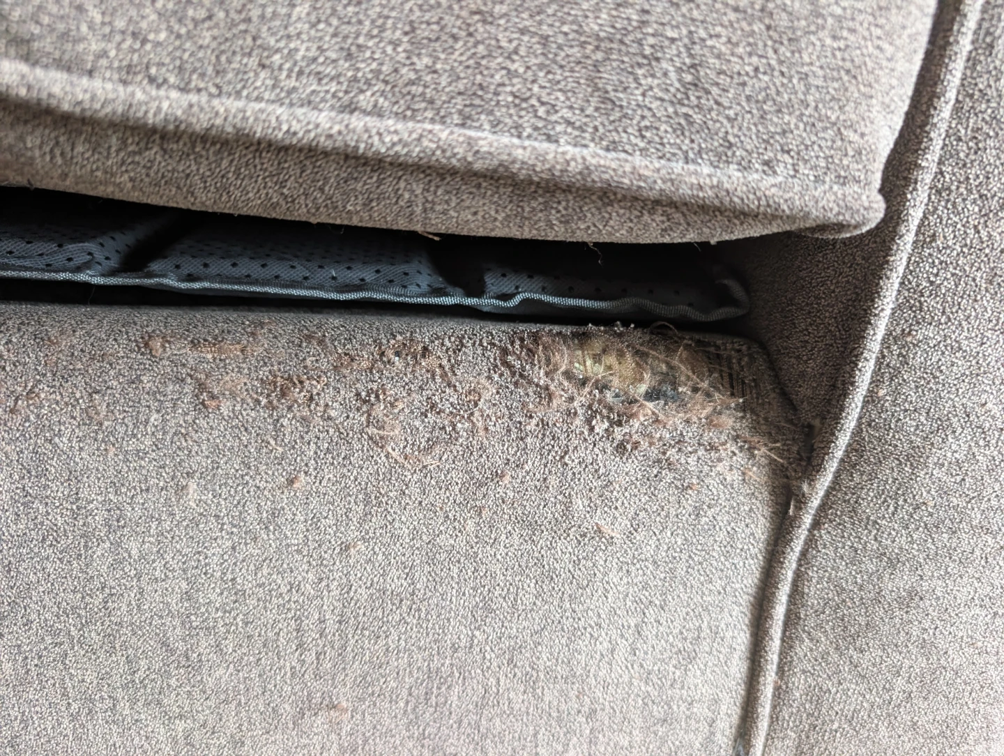 Light Brown Sofa - photo 3