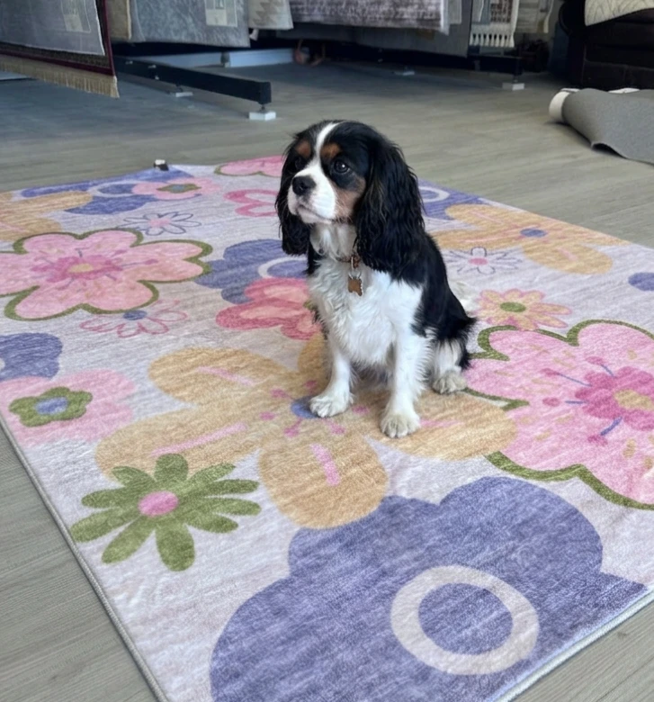 Kids' Animal and Floral Area Rugs 5 × 7