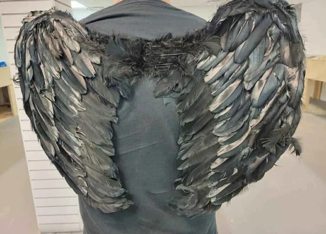 Black Feather Wings Costume Accessory - photo 4