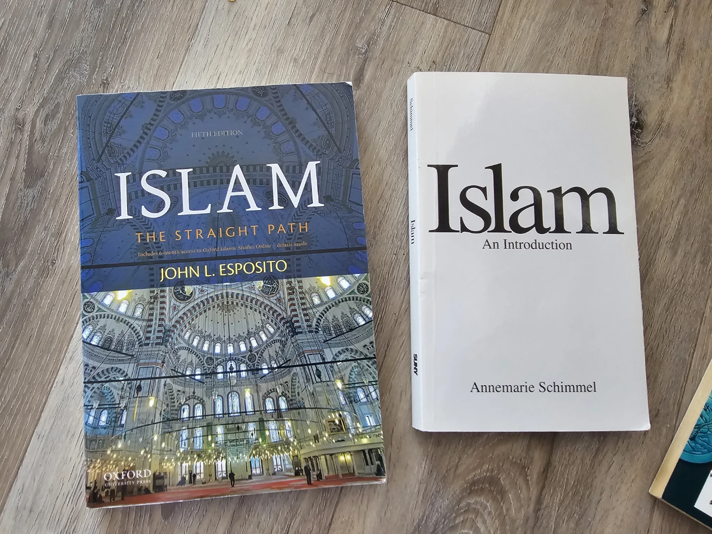 Islam: The Straight Path & Islam: An Introduction Books