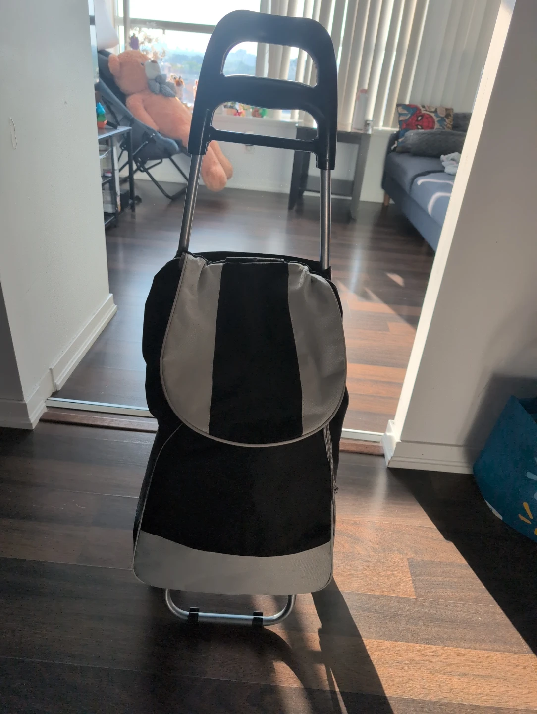 Black and Grey Rolling Shopping Cart