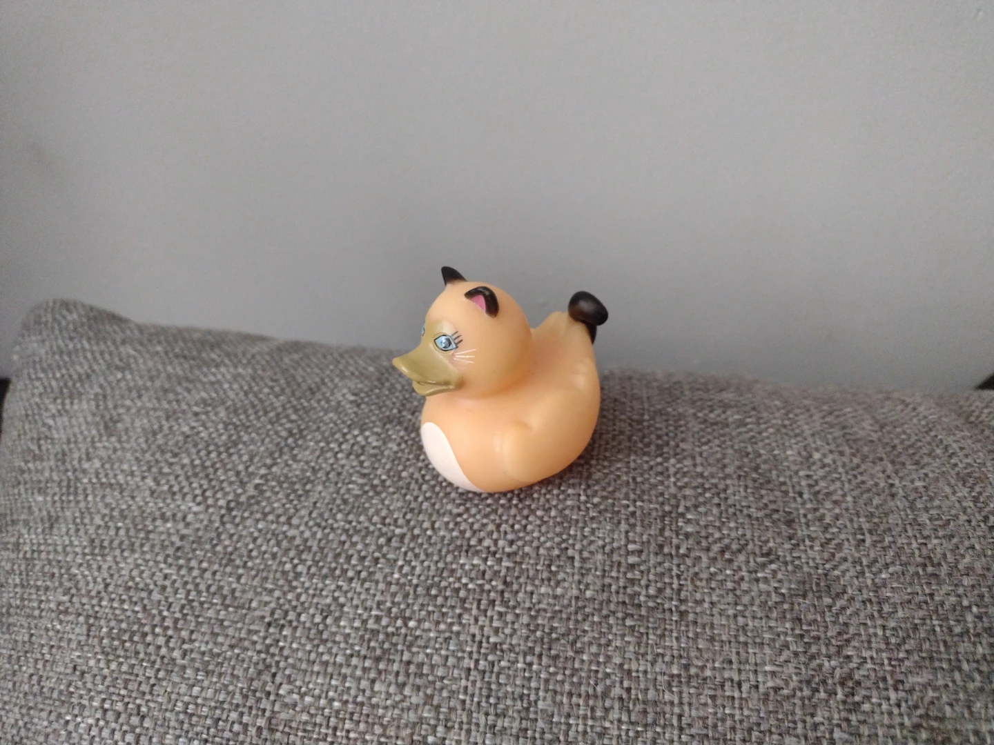 Siamese Cat Rubber Duck