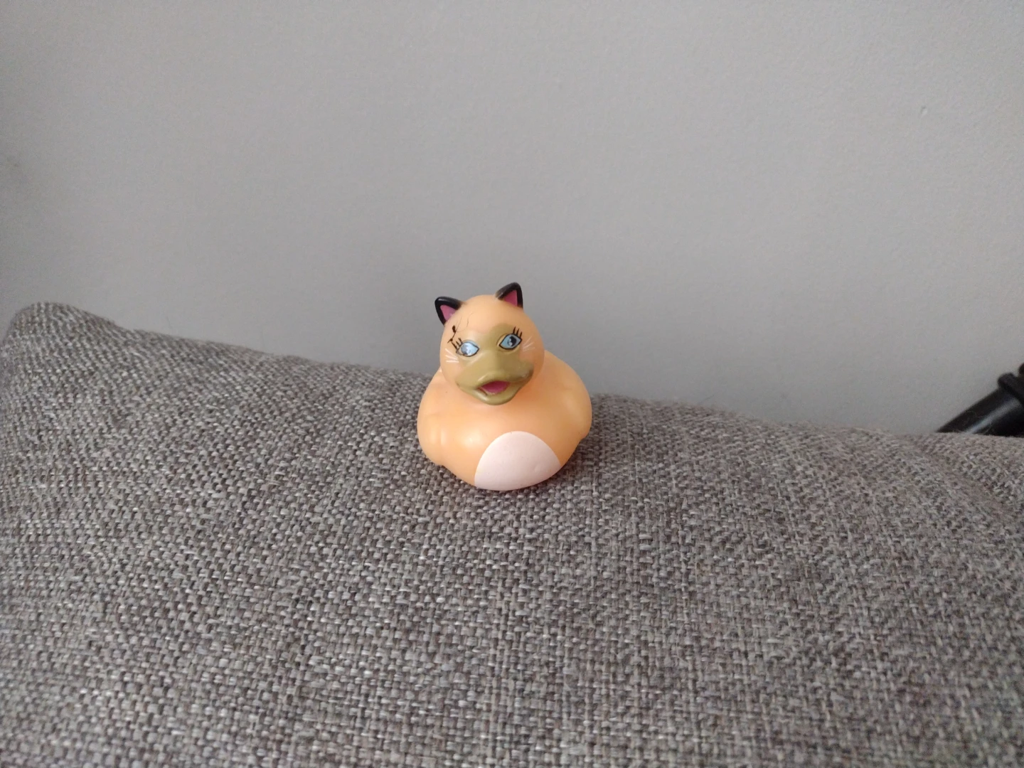 Siamese Cat Rubber Duck - photo 4