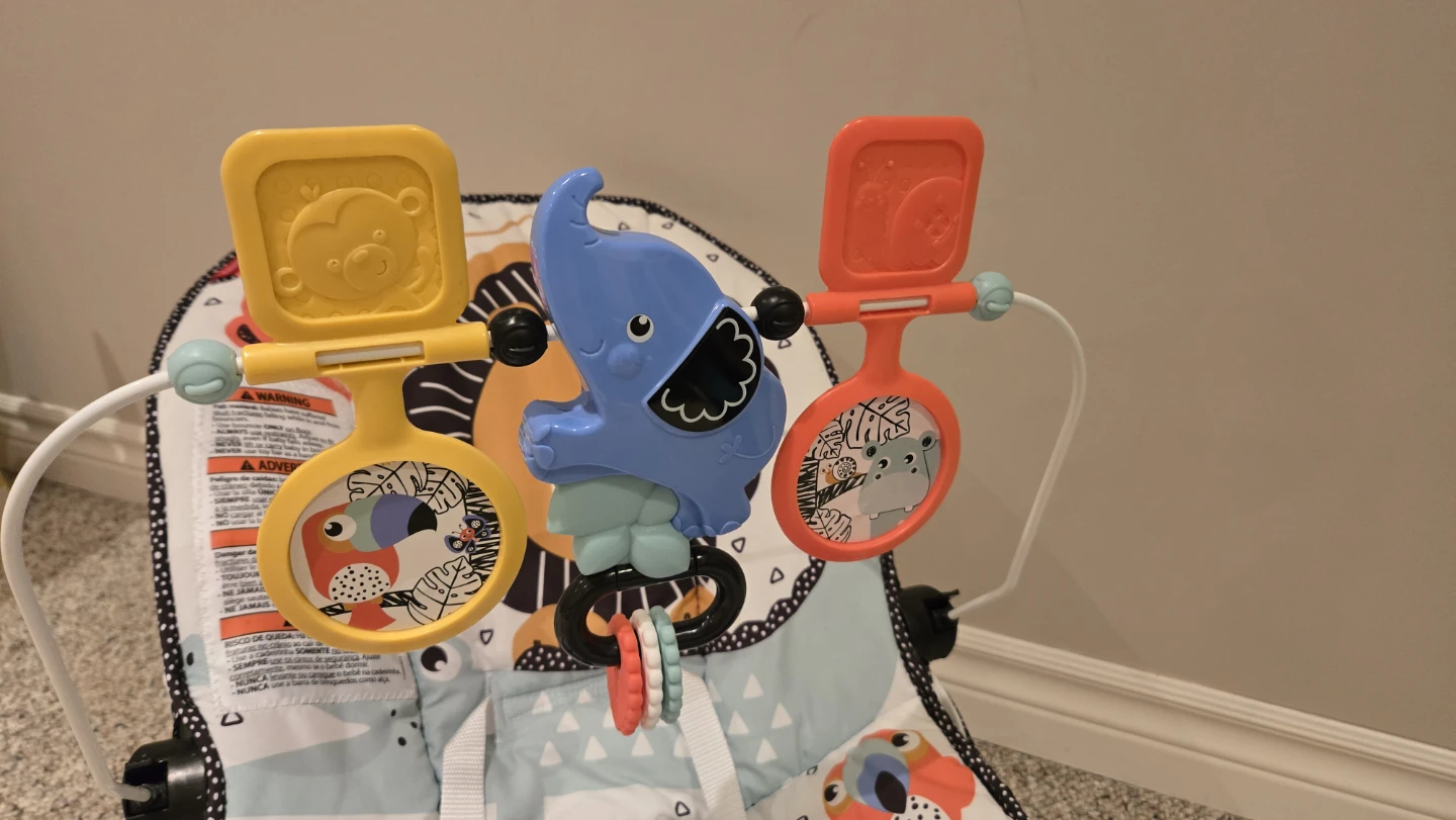 Fisher-Price Baby Bouncer Seat - photo 2