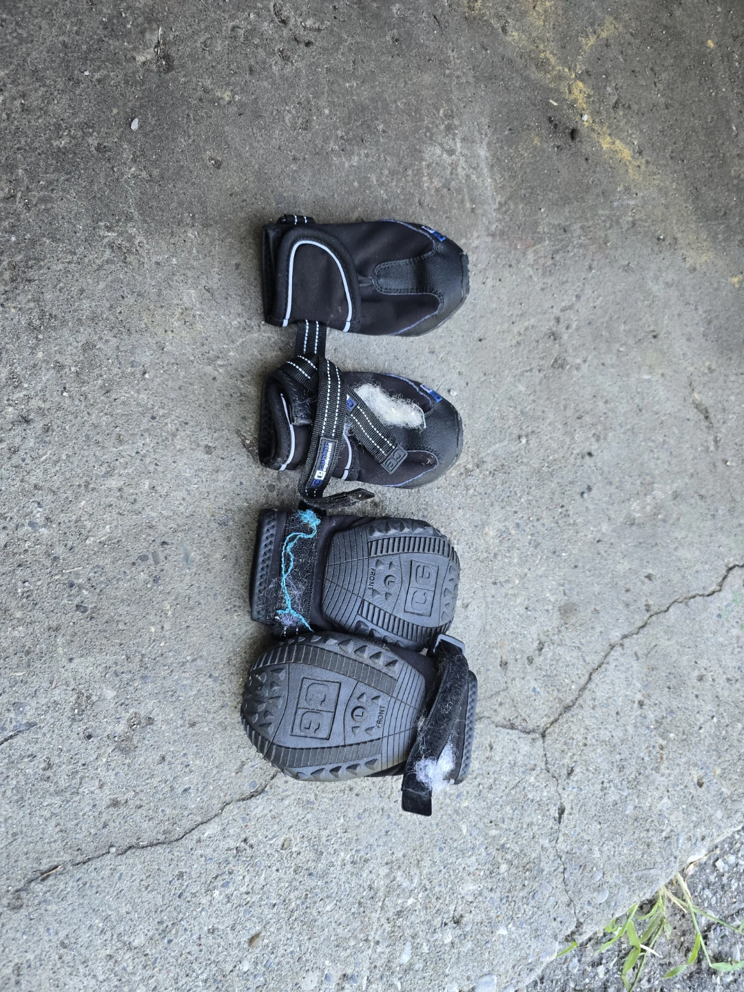 Pair of Black Dog Boots - Size Large