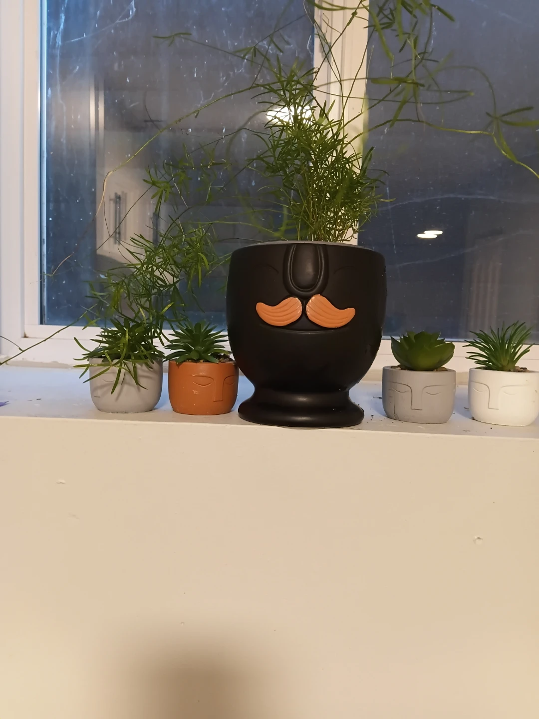 Plant