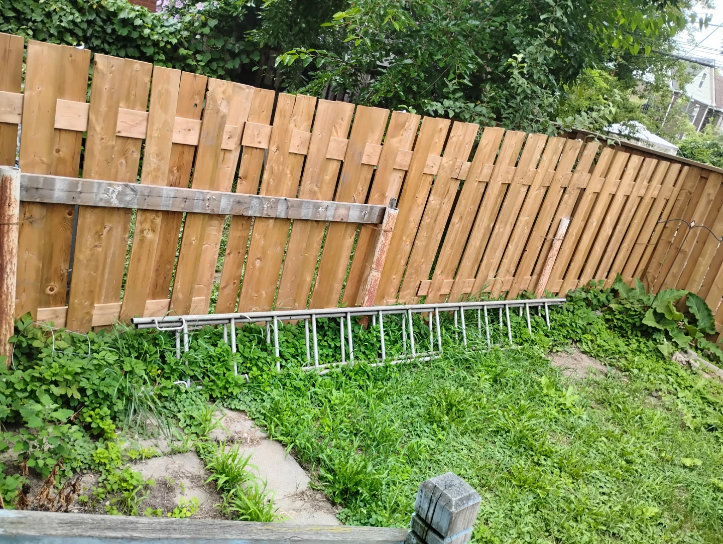 Aluminum Ladder