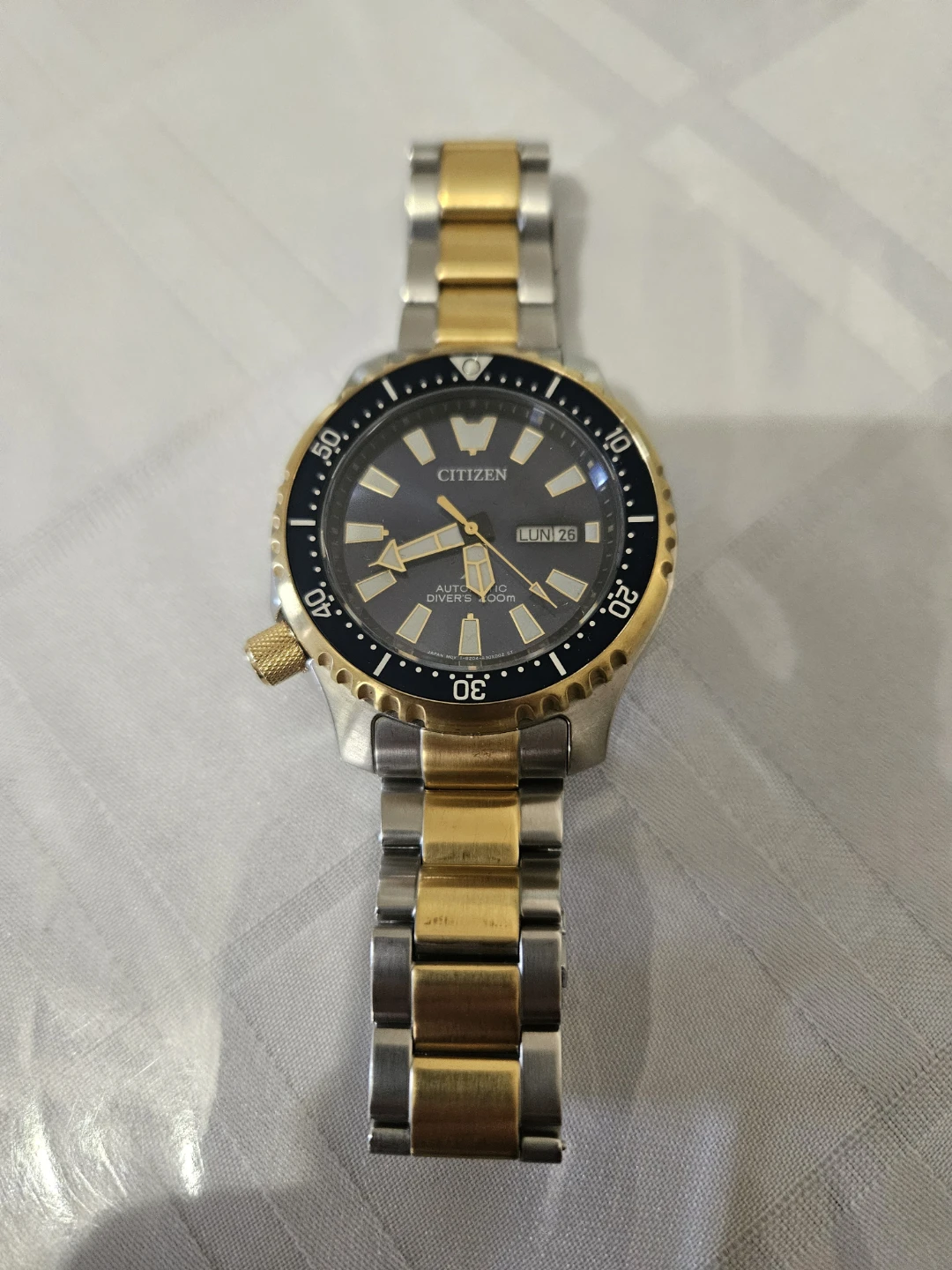 Citizen Automatic Diver's Watch