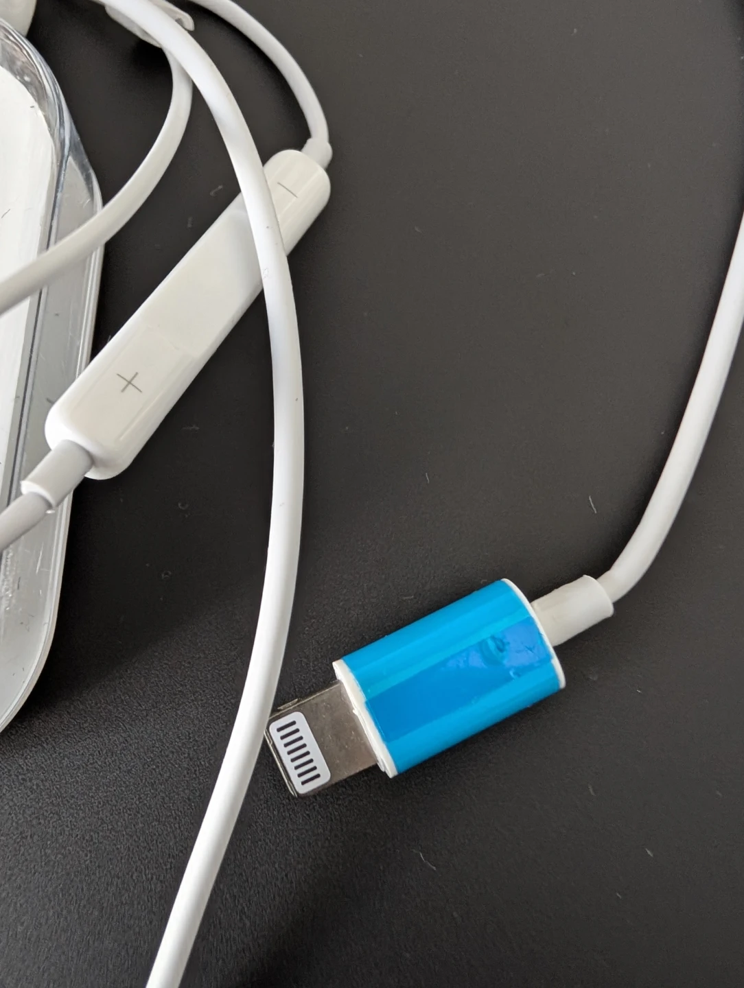 Apple EarPods with case