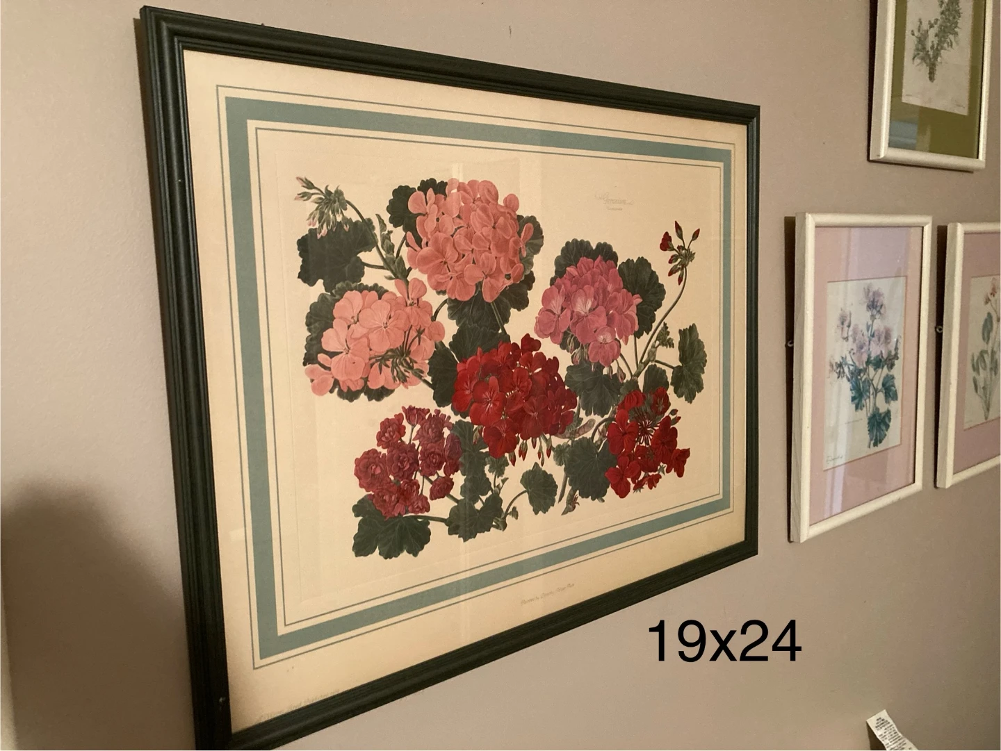 Framed Botanical Print Collection - photo 2