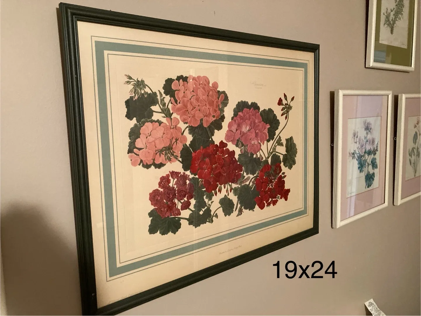 Framed Botanical Print Collection - photo 2