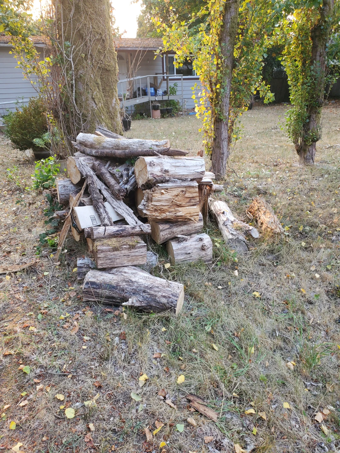 Wood - photo 3