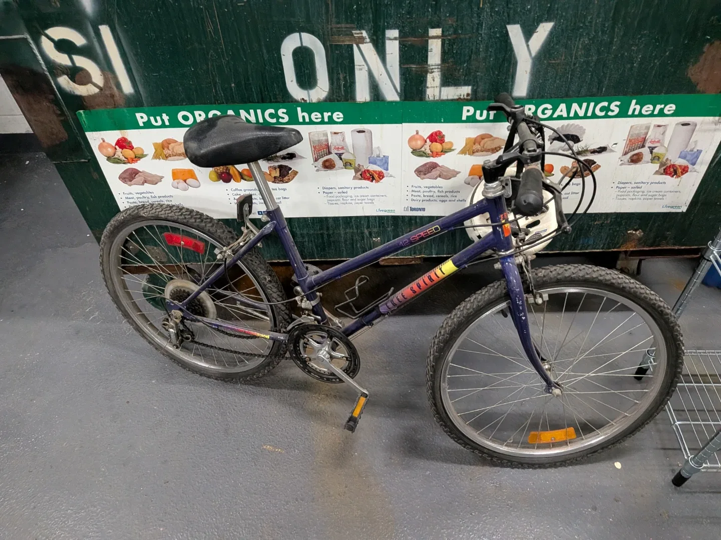 Blue 12-Speed Mountain Bike