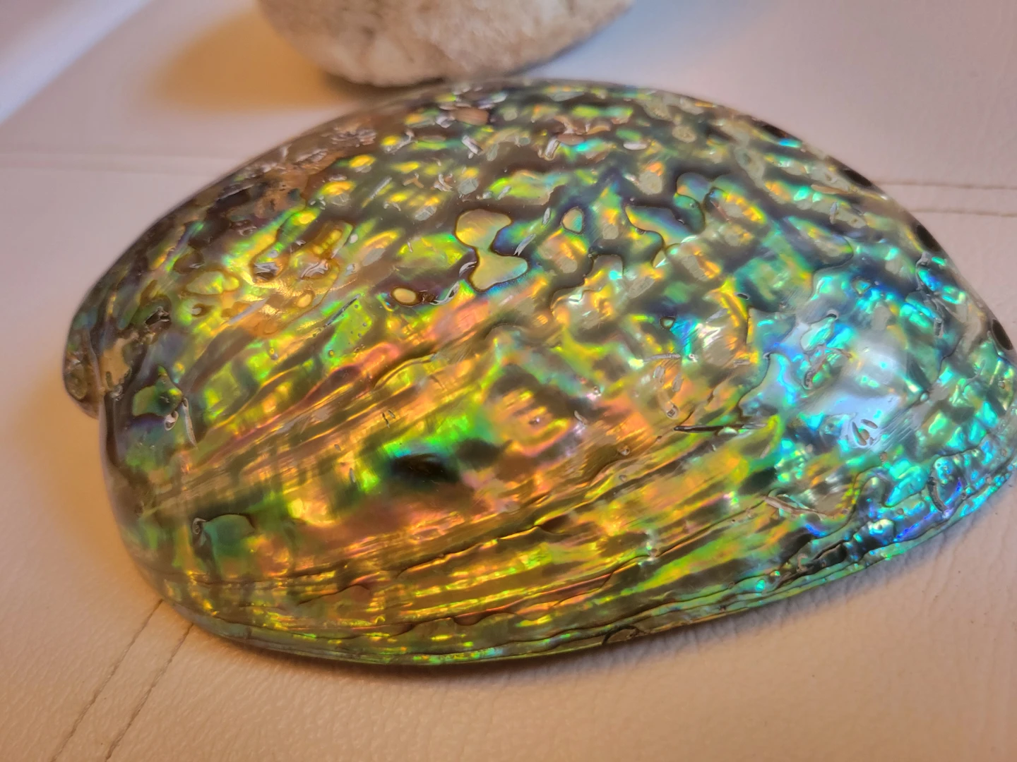 BEINUANCRYSTAL Wholesale Abalone Shell Decoration - photo 3