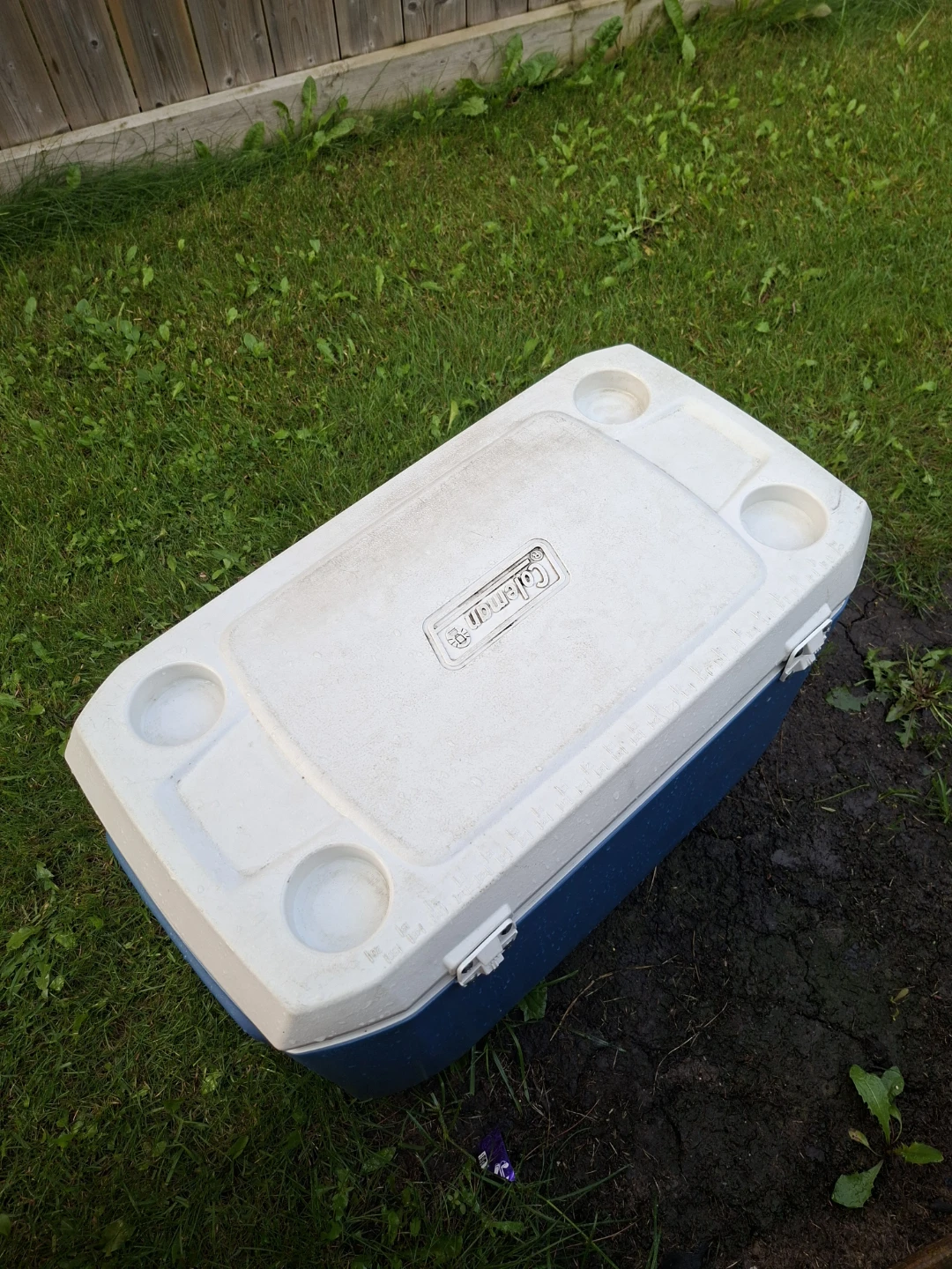 Blue Coleman Cooler with Four Cup Holders - photo 3