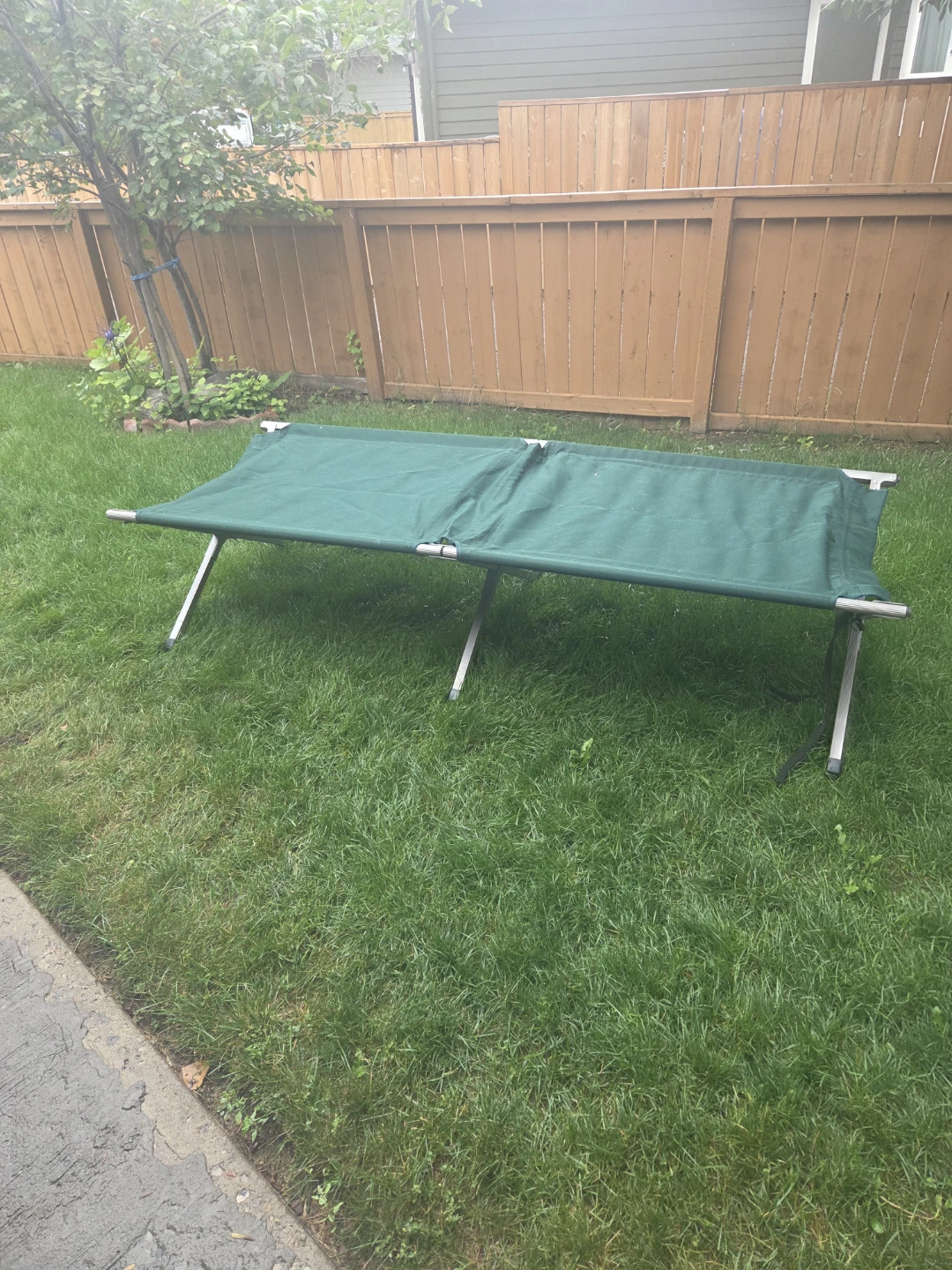 Green Camping Cot