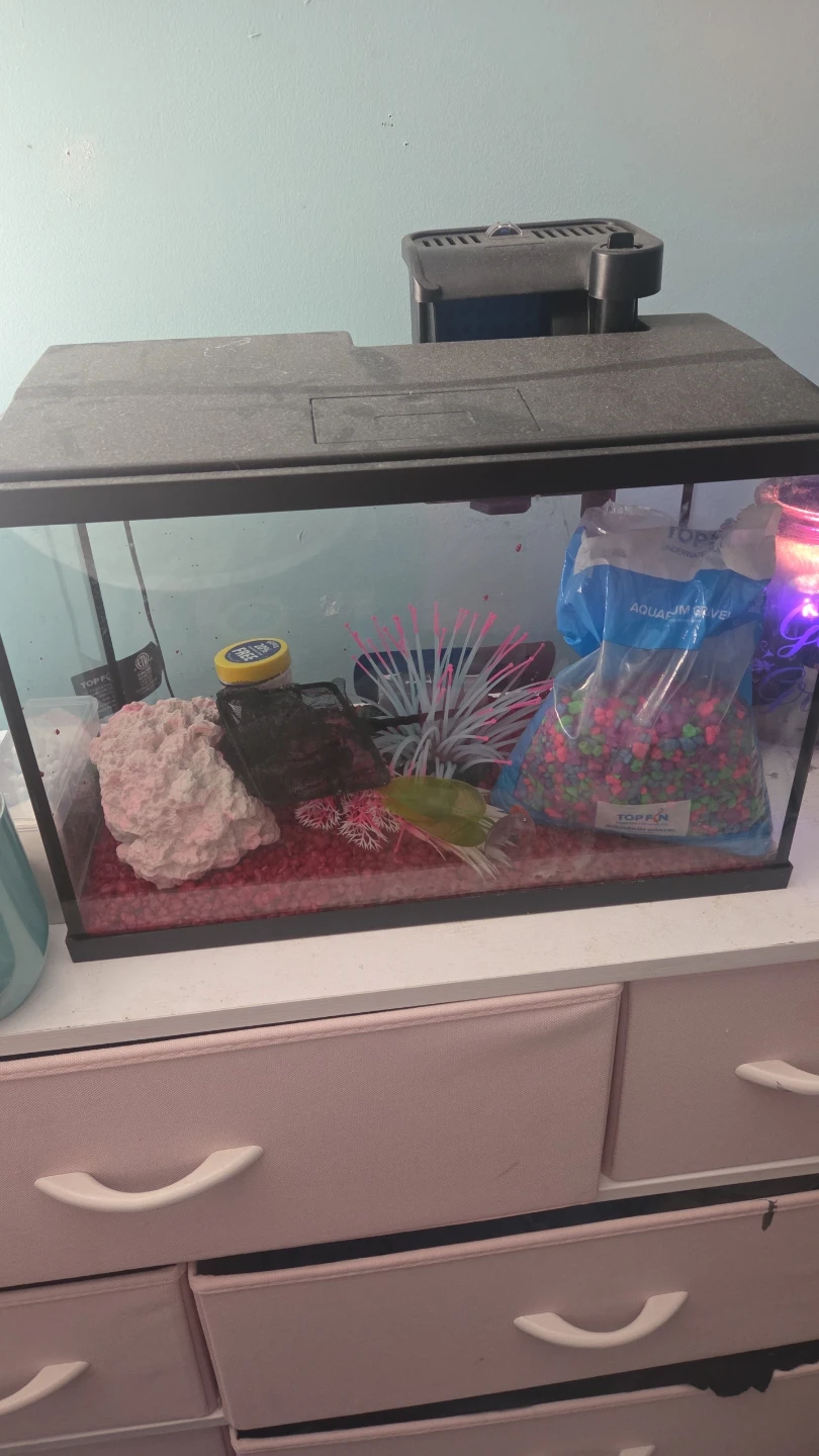 Top Fin Aquarium Gravel and Decorations