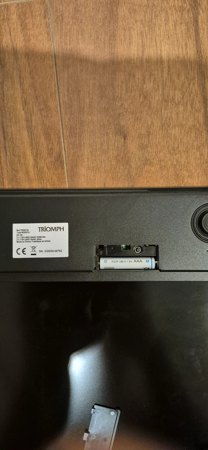 TRIOMPH Digital Body Weight Scale - photo 3