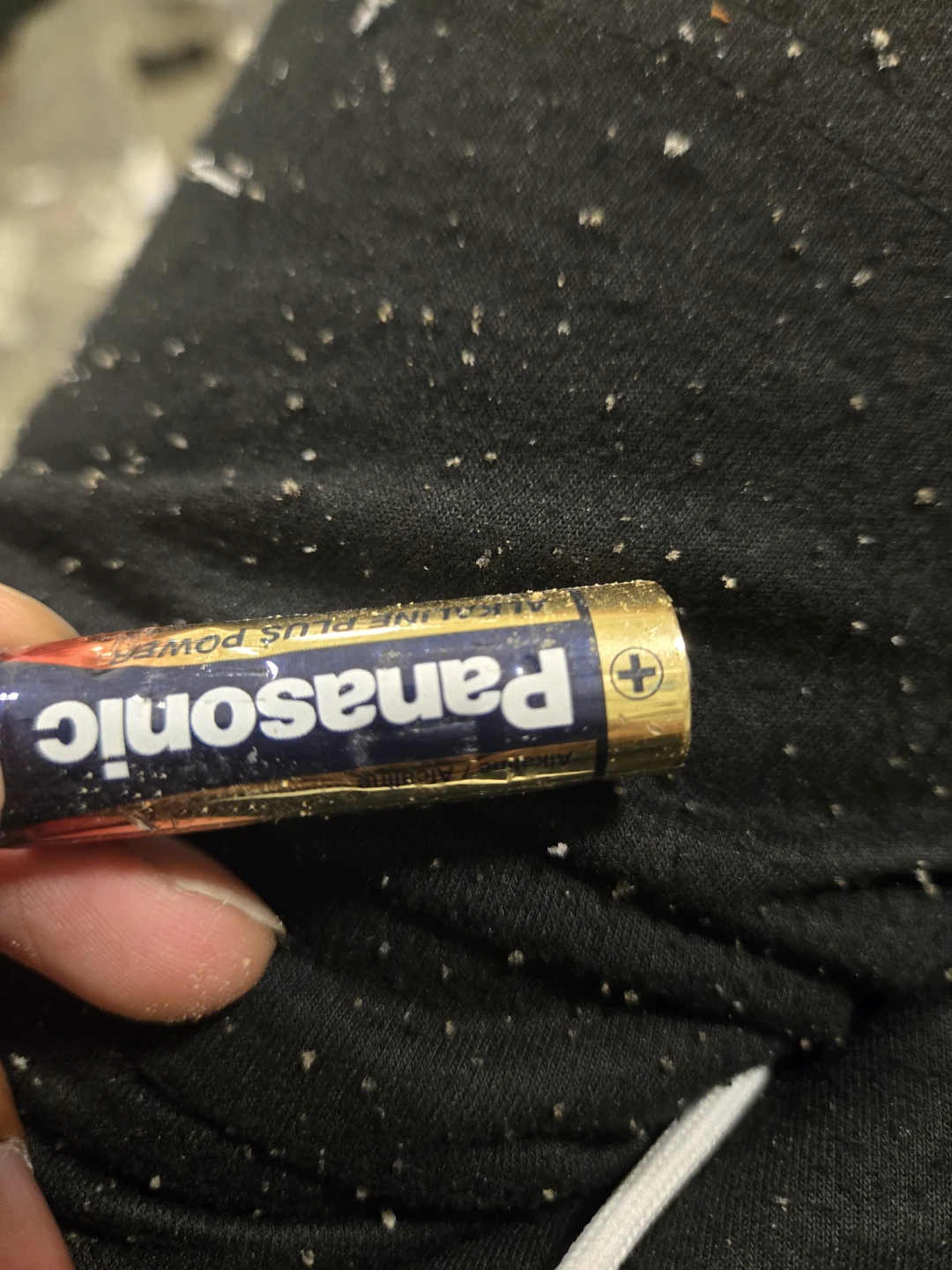 Panasonic AA Battery