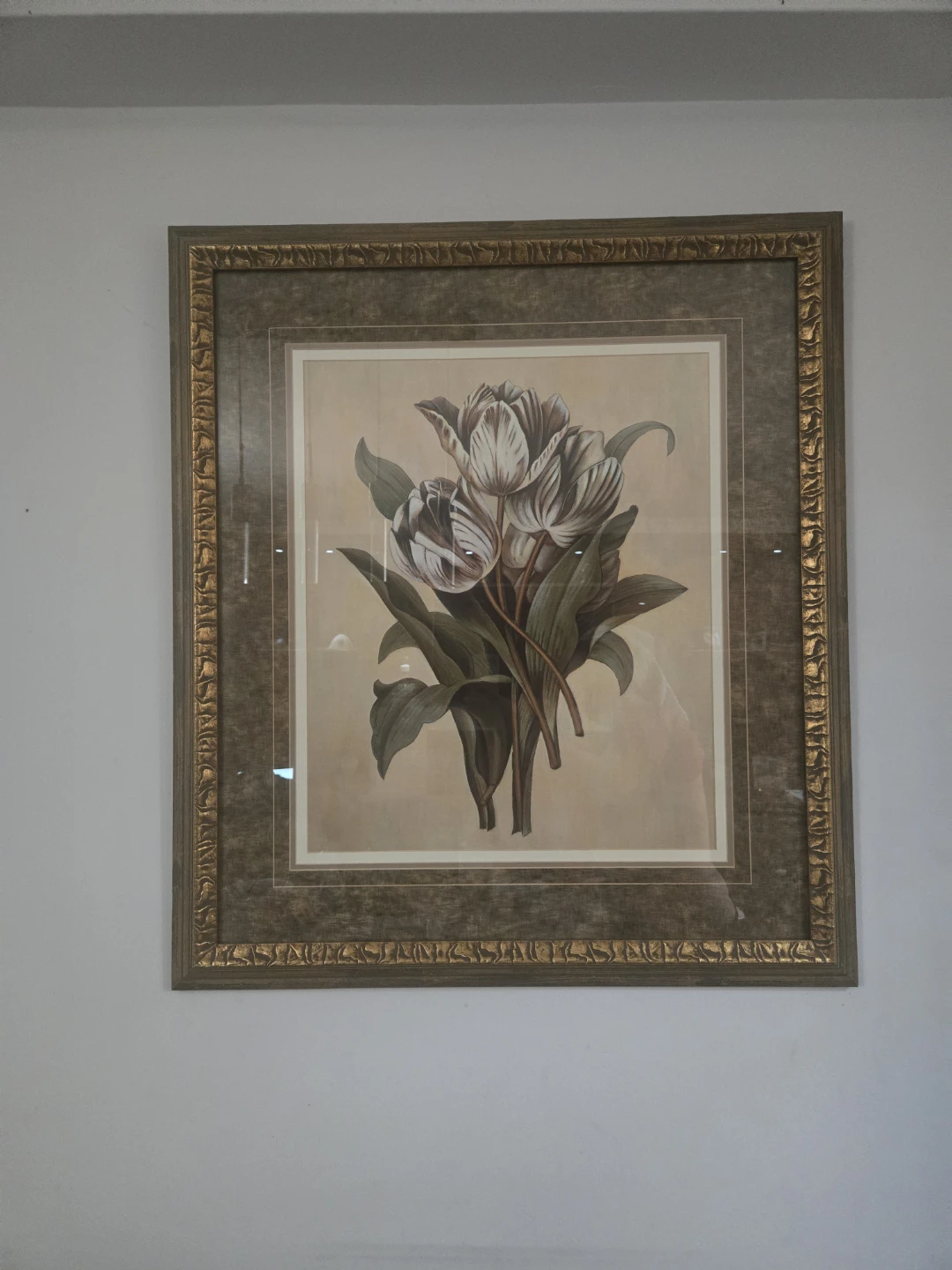 Framed Botanical Print