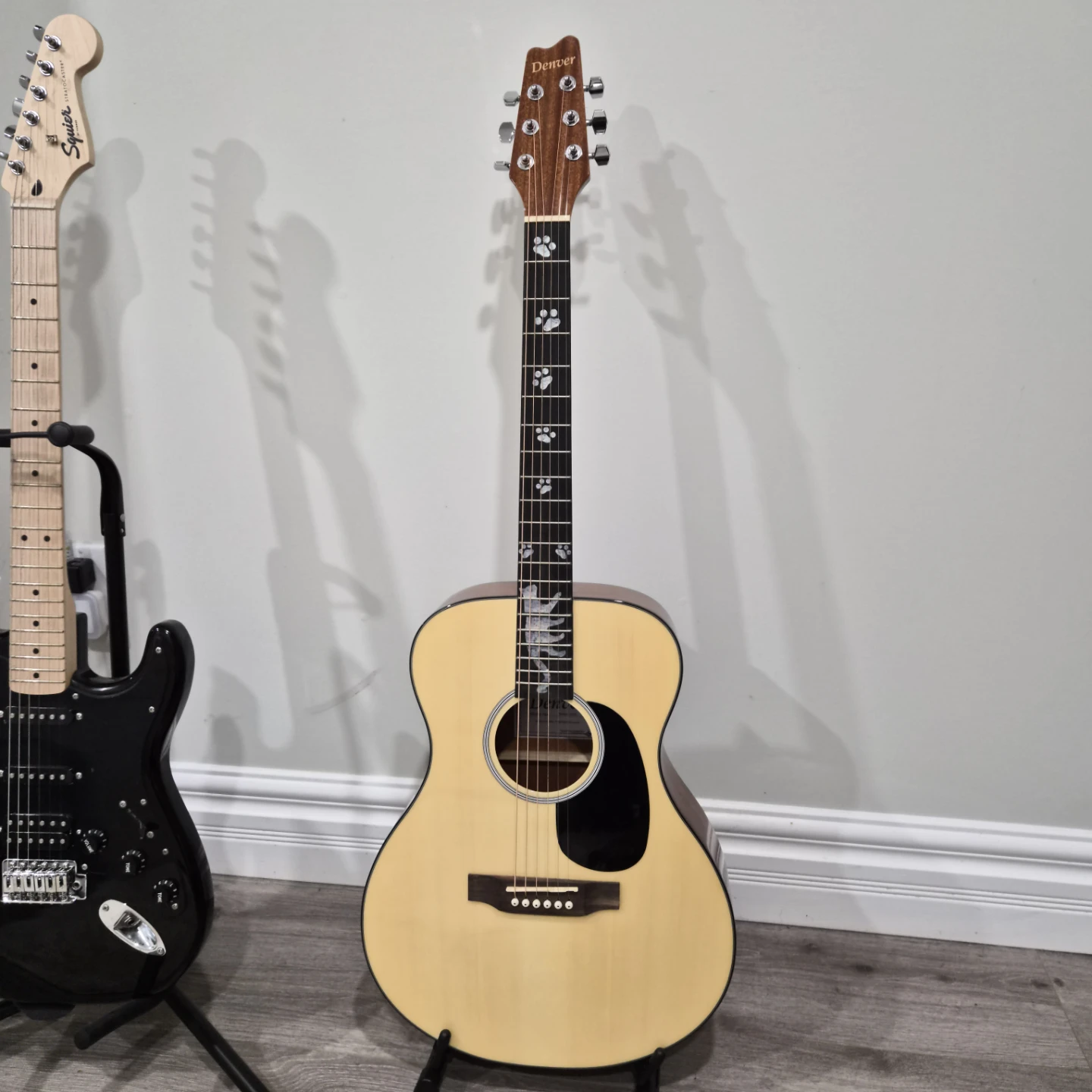 Denver Acoustic Guitar