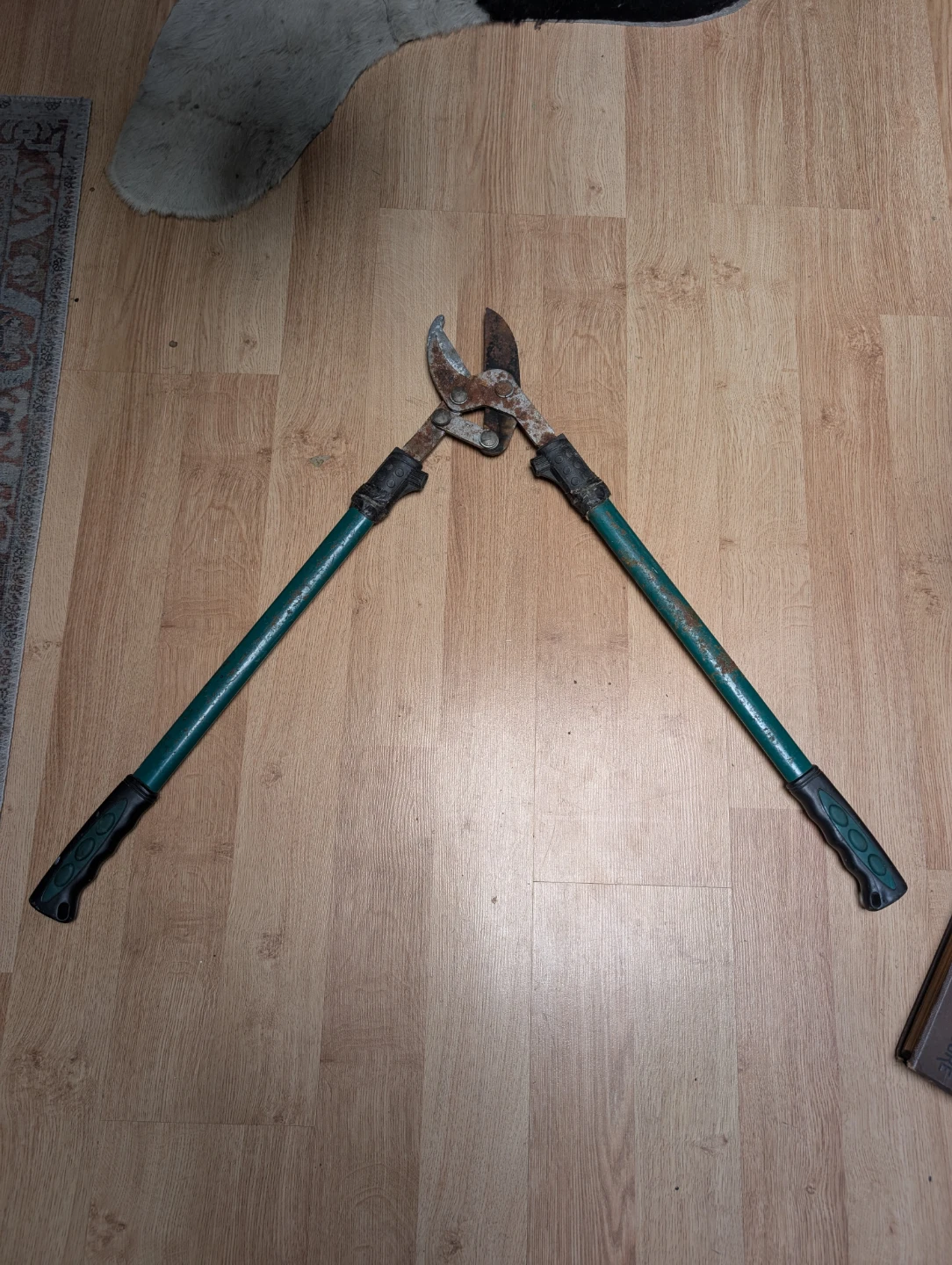 Green Handle Loppers with Rusty Blades