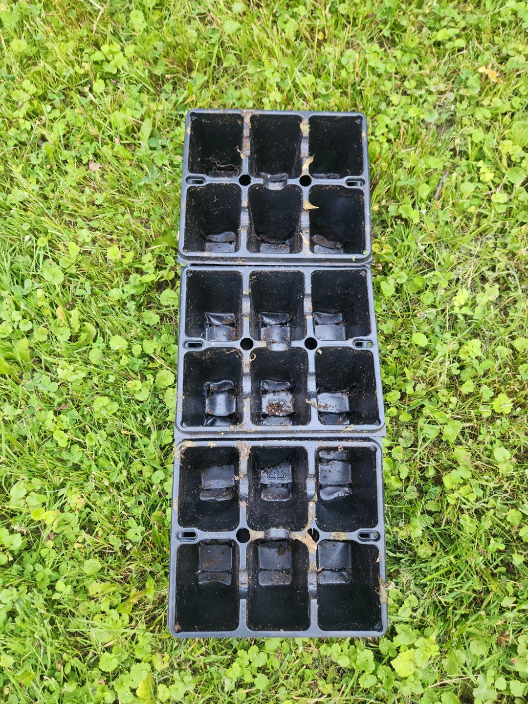 Free 3 Seedling Trays