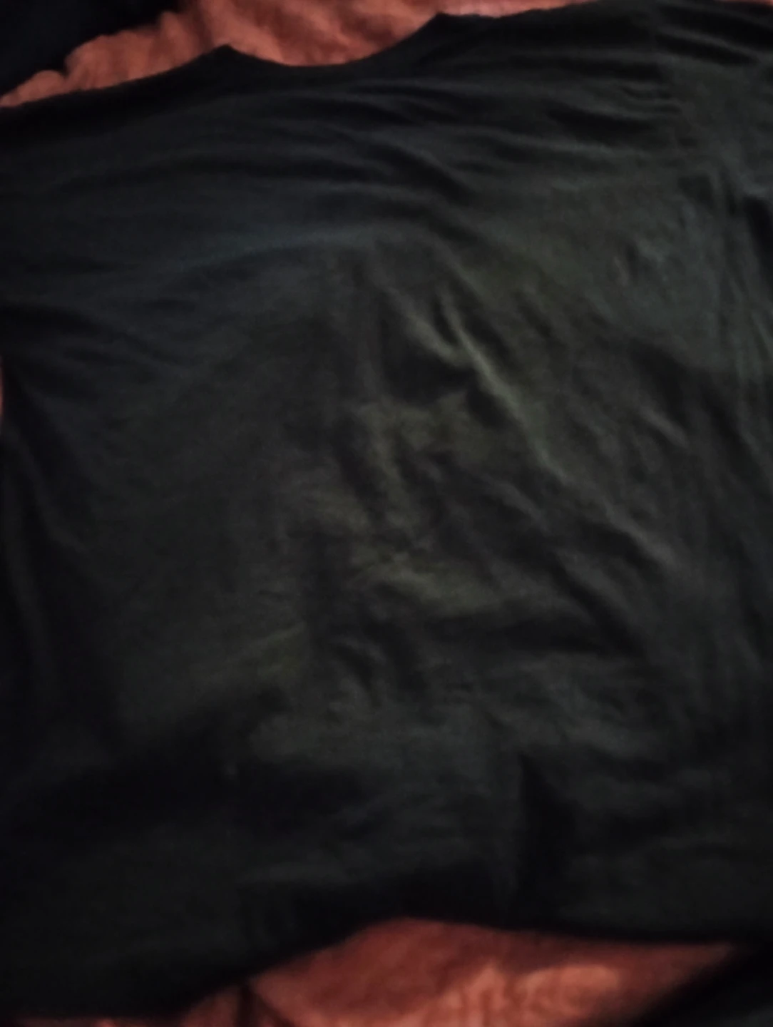 Vintage Snowbirds Canadian Air Force T-Shirt - photo 2