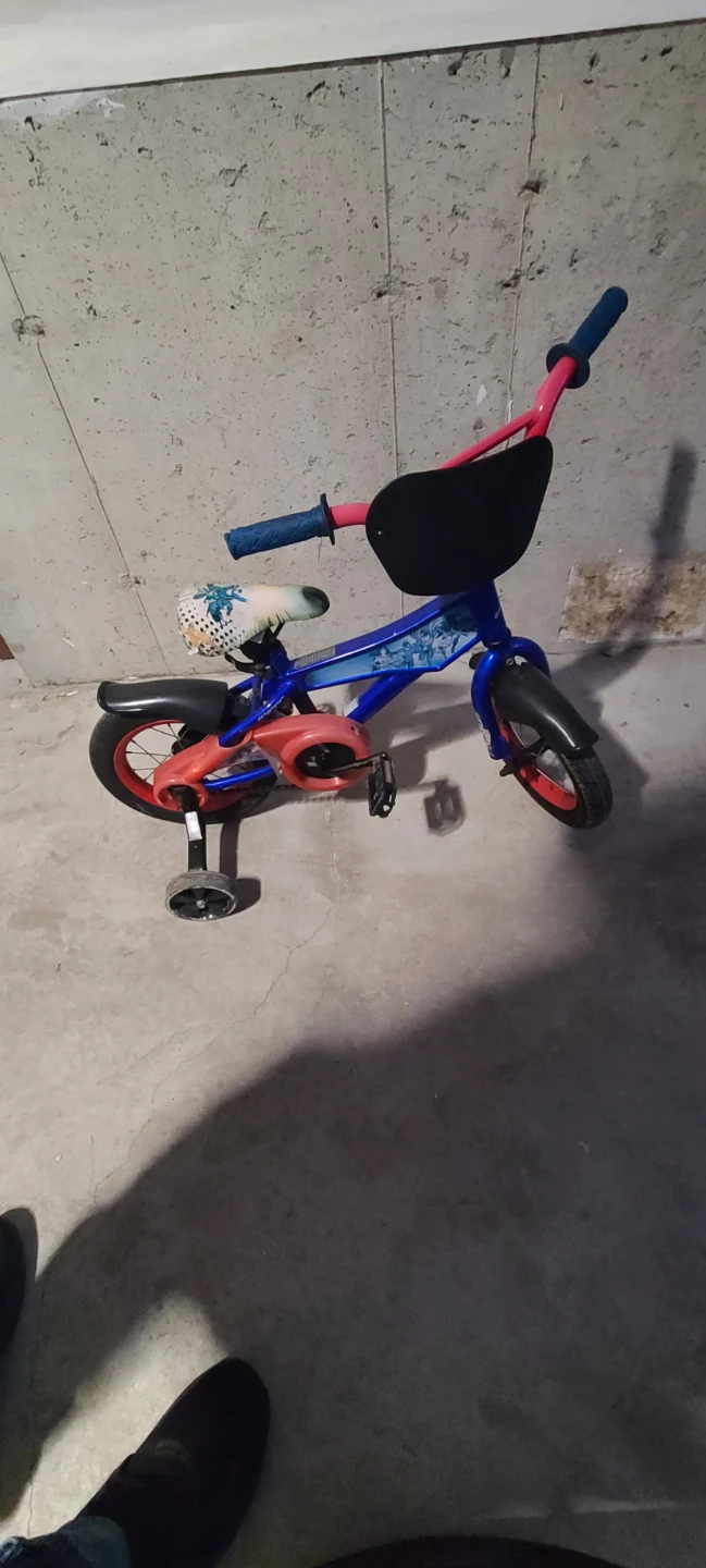 Kids Bicycle with Training Wheels