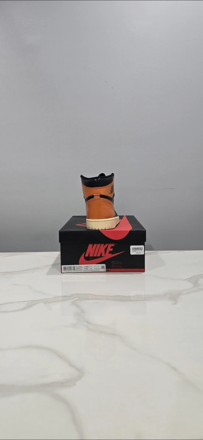 Air Jordan 1 Shattered Backboard 3.0 size 10 - photo 2