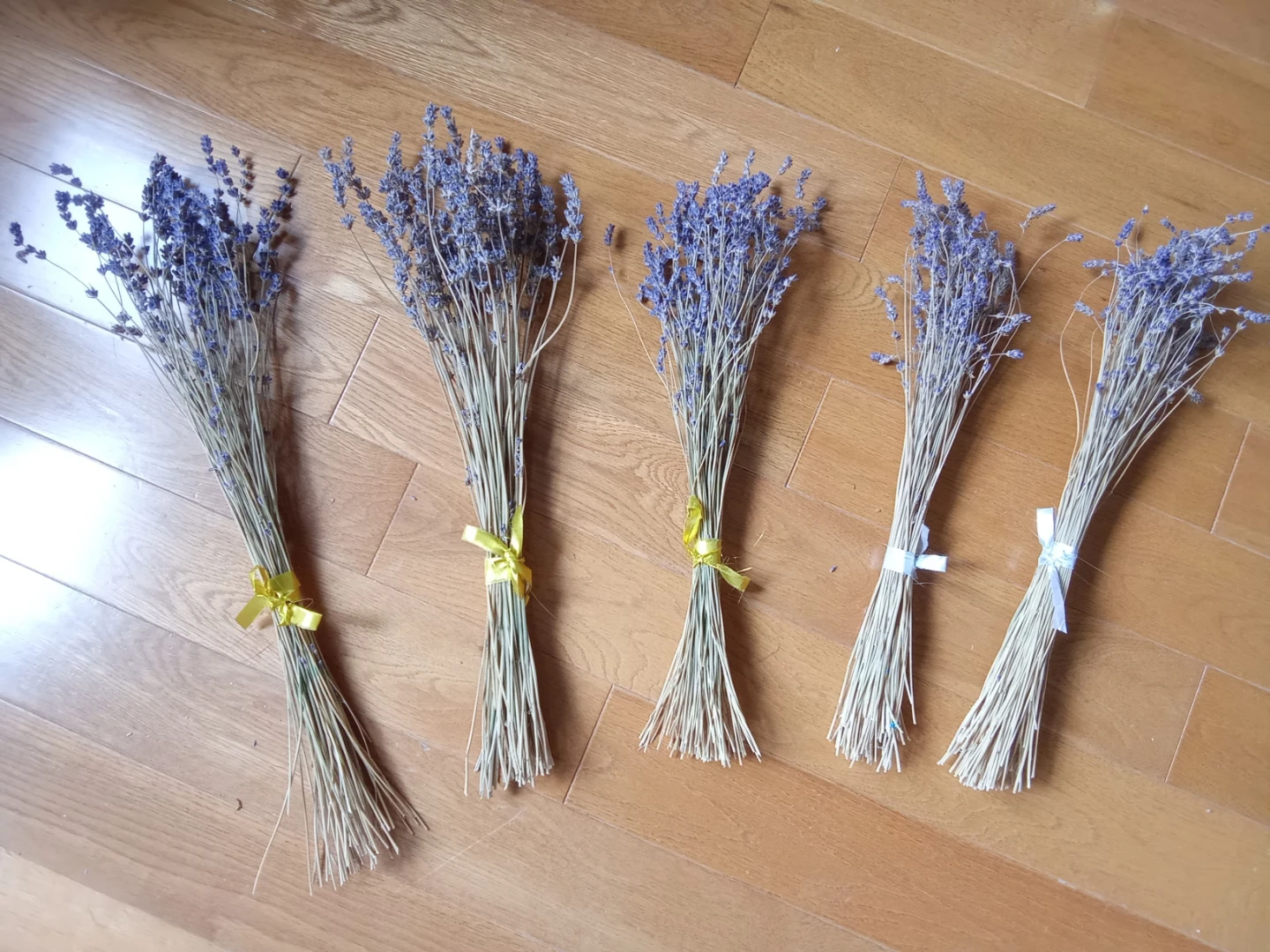 Dried lavender