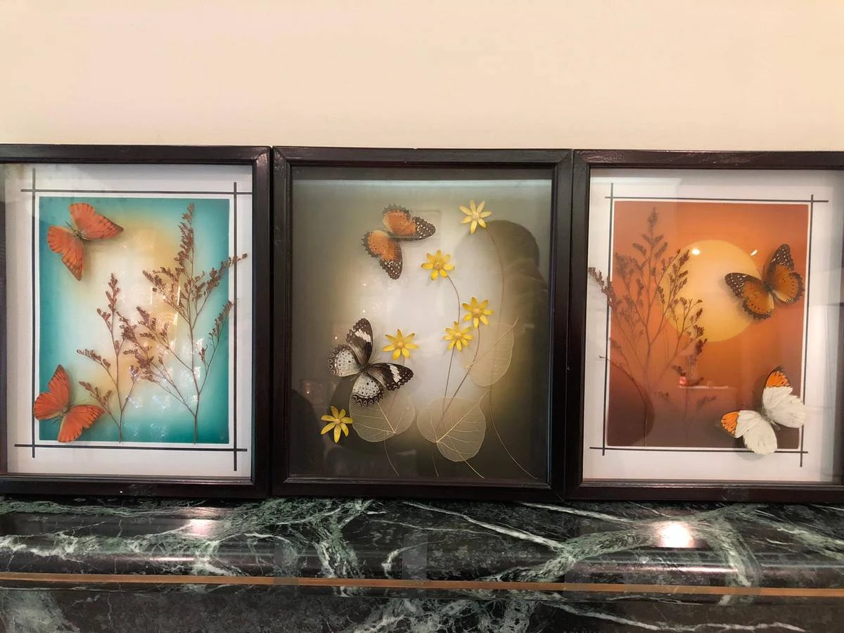 Framed Butterfly and Botanical Art - Set of 3 - photo 2