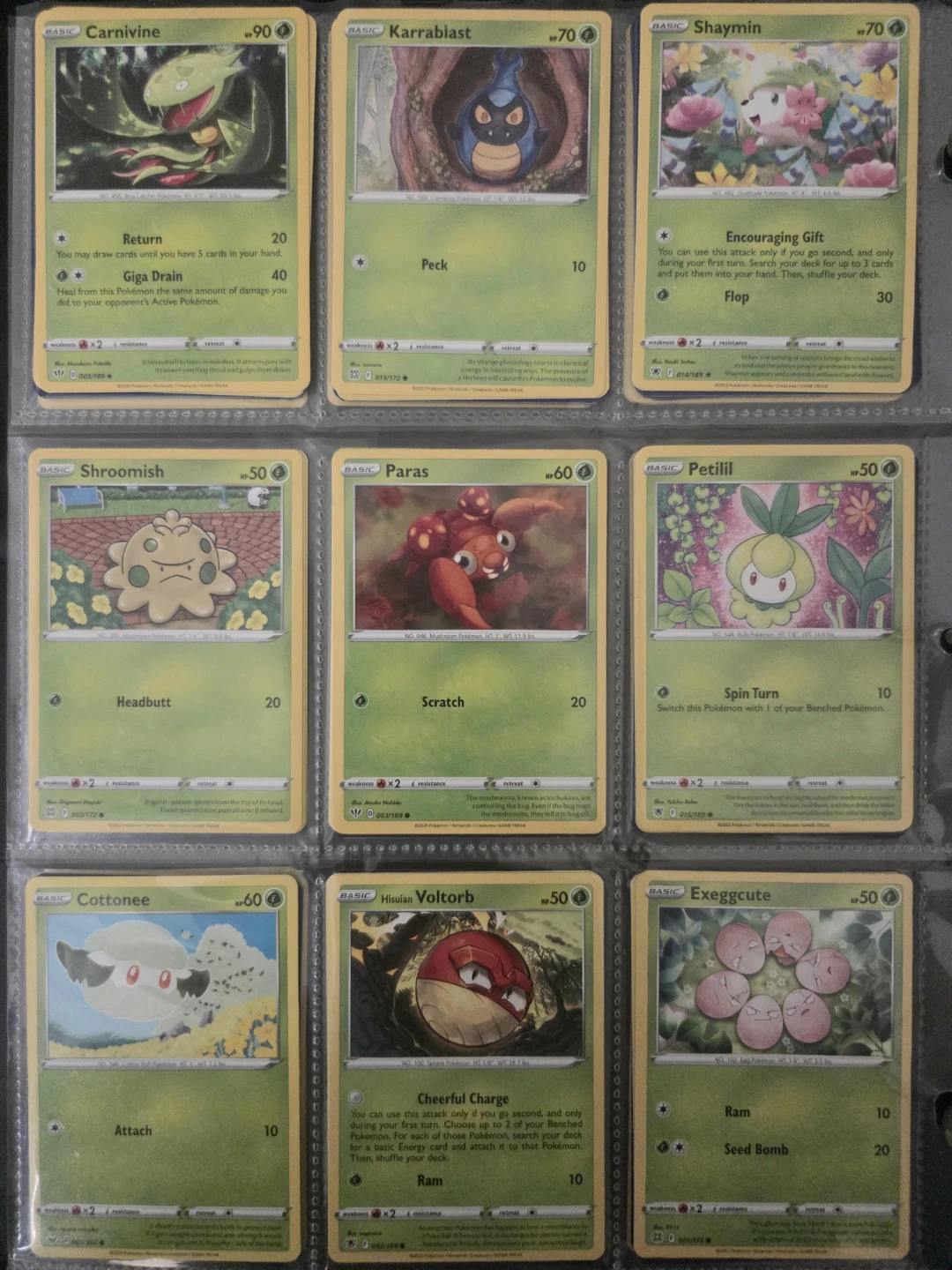 Pokemon Cards - Grass Type - photo 4
