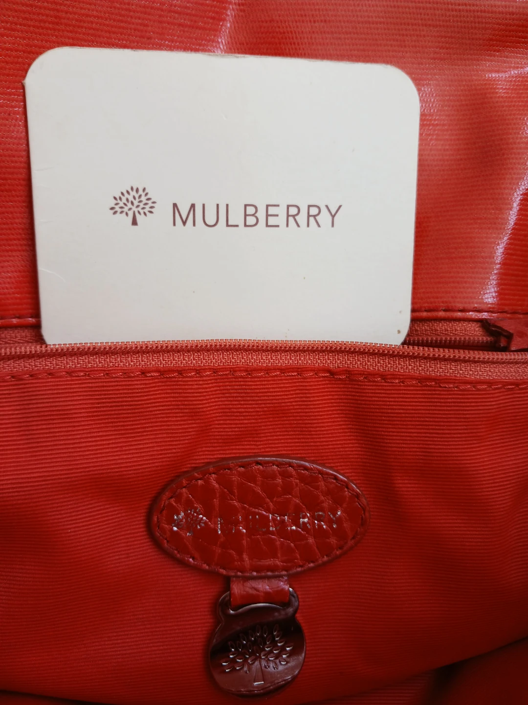 Mulberry Orange Tote Bag - photo 5