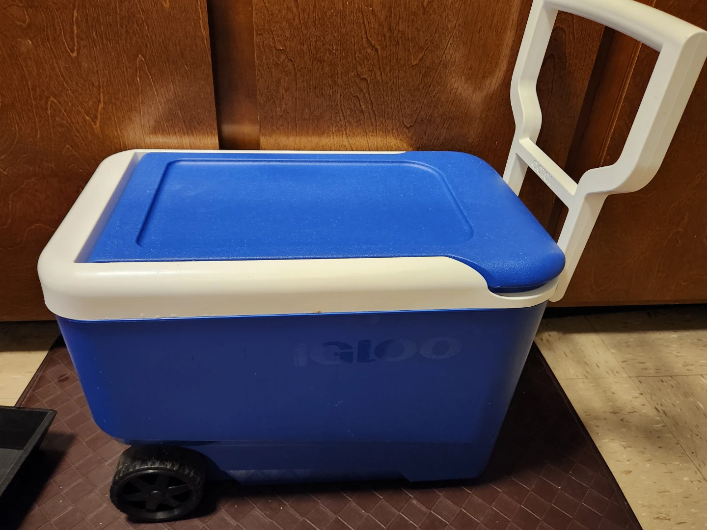 Igloo Blue & White Rolling Cooler with Wheels