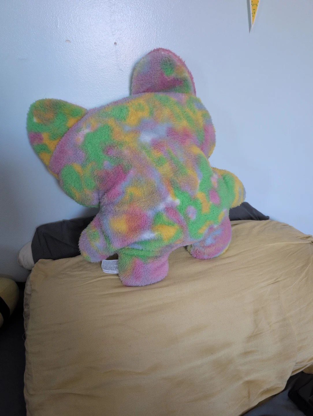 Giant fuggler - photo 2