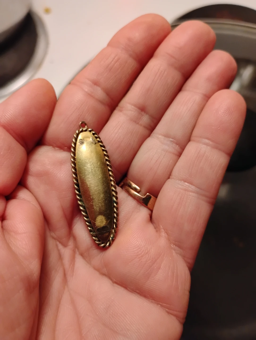 Rare Vintage Iridescent Beetle Scarab Pendant - photo 2
