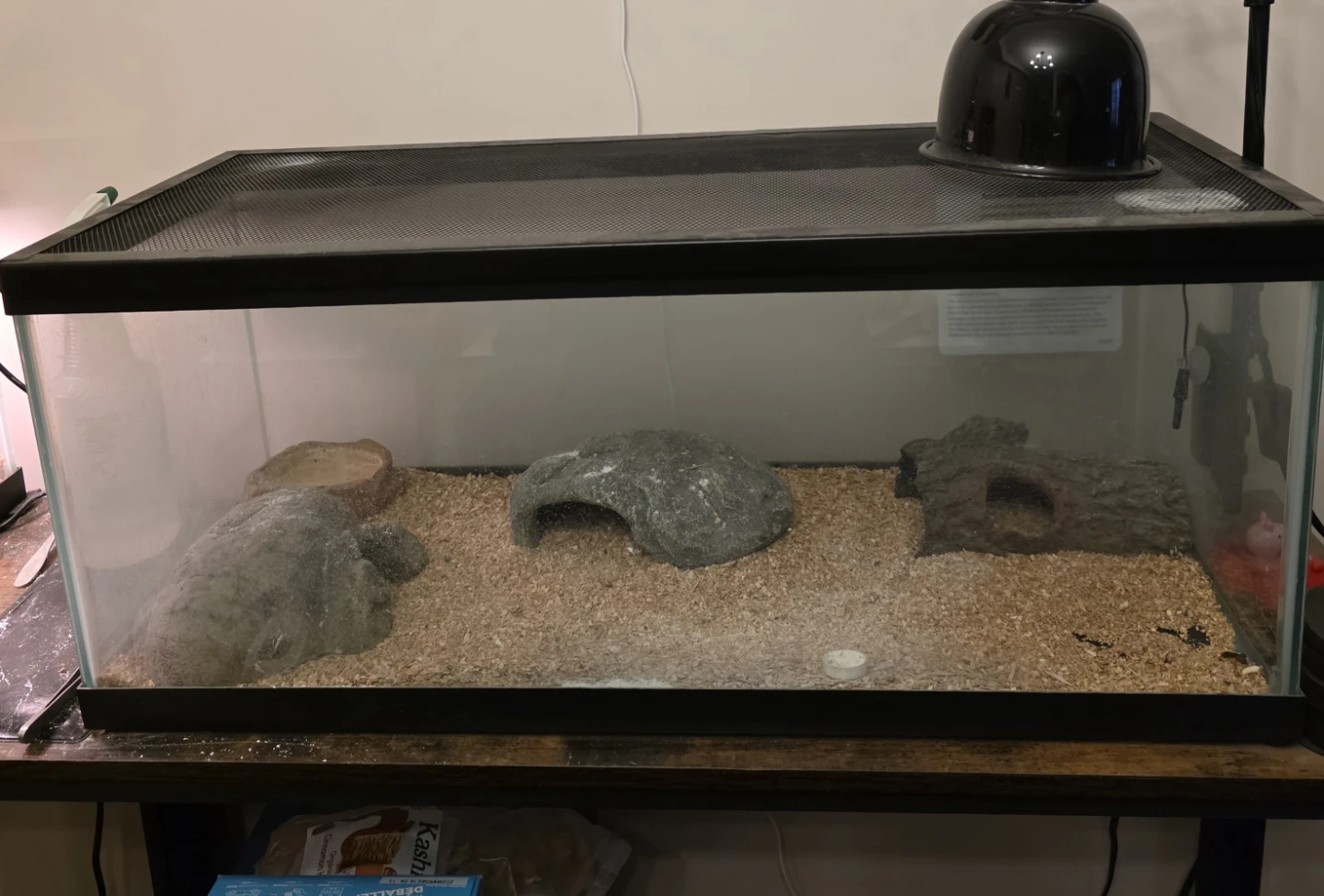 Reptile terranium