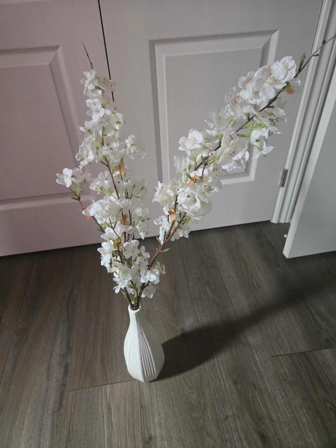 White Cherry Blossom Branches in Cream Colored Ribbed Vase